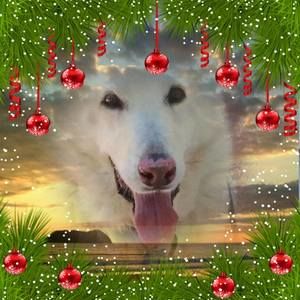 Meet your Posher, Jeremy